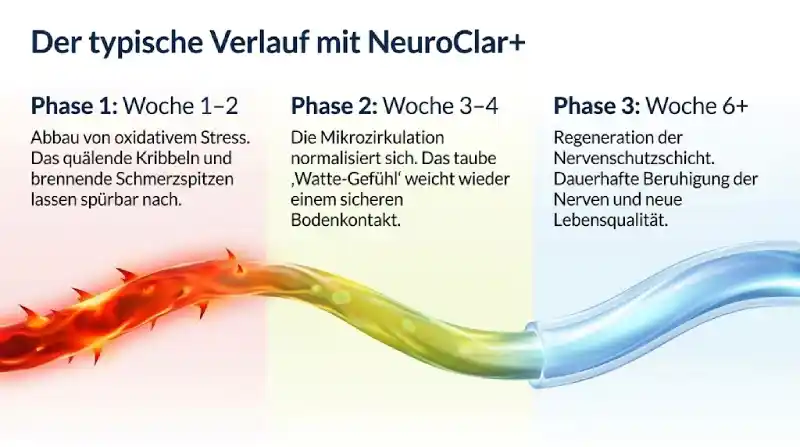 Zeitachse der Verbesserung